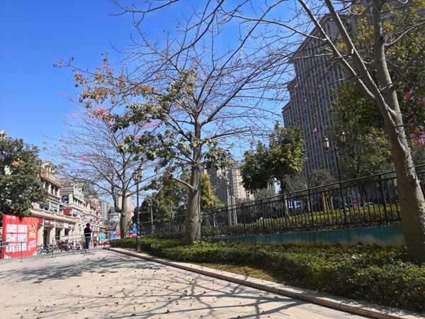 二级建造师能在海口落户吗