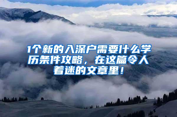 1个新的入深户需要什么学历条件攻略，在这篇令人着迷的文章里！