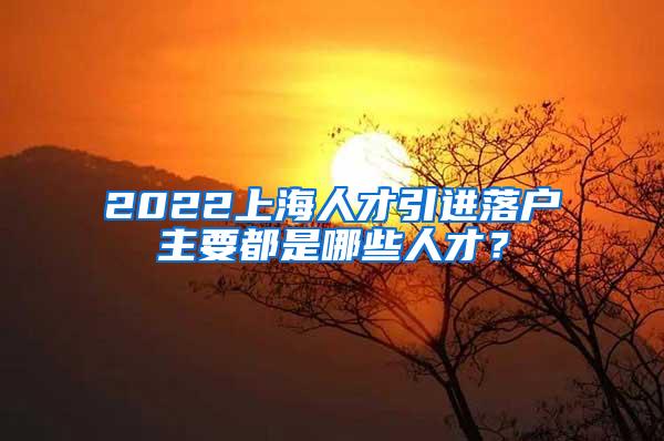 2022上海人才引进落户主要都是哪些人才？