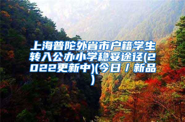 上海普陀外省市户籍学生转入公办小学稳妥途径(2022更新中)(今日／新品)