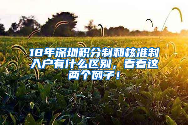 18年深圳积分制和核准制入户有什么区别，看看这两个例子！