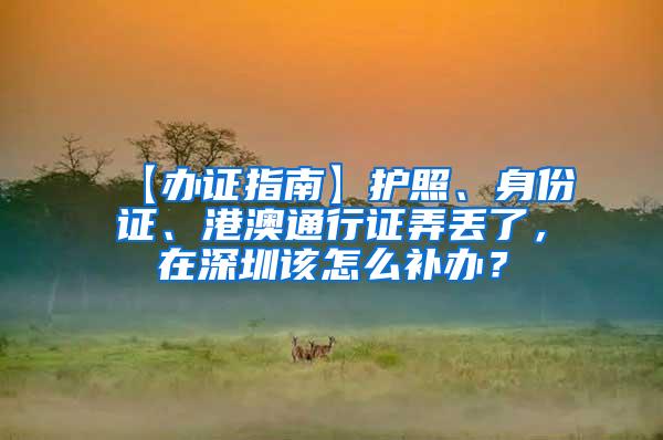 【办证指南】护照、身份证、港澳通行证弄丢了，在深圳该怎么补办？