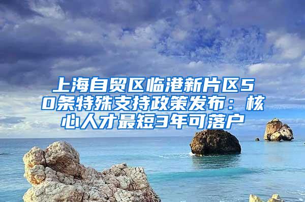 上海自贸区临港新片区50条特殊支持政策发布：核心人才最短3年可落户