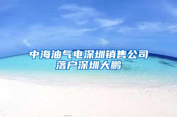 中海油气电深圳销售公司落户深圳大鹏