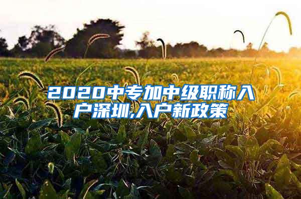 2020中专加中级职称入户深圳,入户新政策