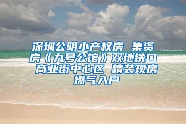 深圳公明小产权房 集资房《九号公馆》双地铁口 商业街中心区 精装现房 燃气入户