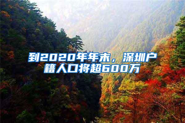 到2020年年末，深圳户籍人口将超600万