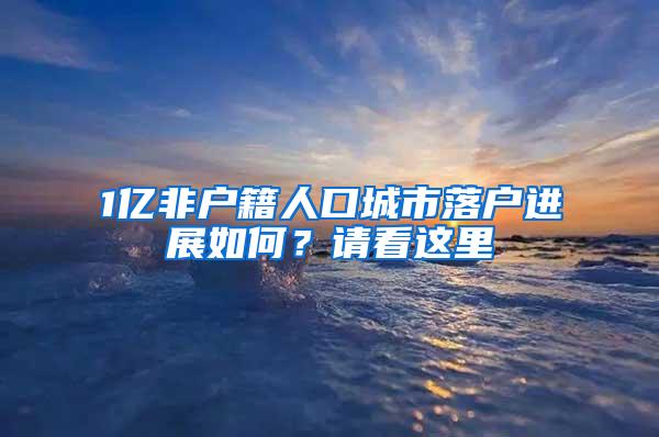 1亿非户籍人口城市落户进展如何？请看这里