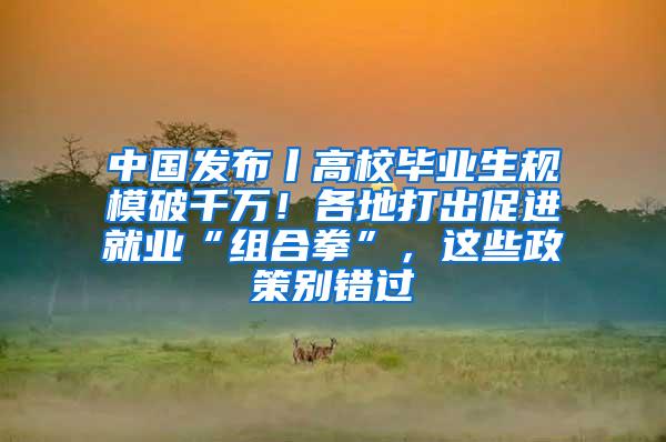 中国发布丨高校毕业生规模破千万！各地打出促进就业“组合拳”，这些政策别错过