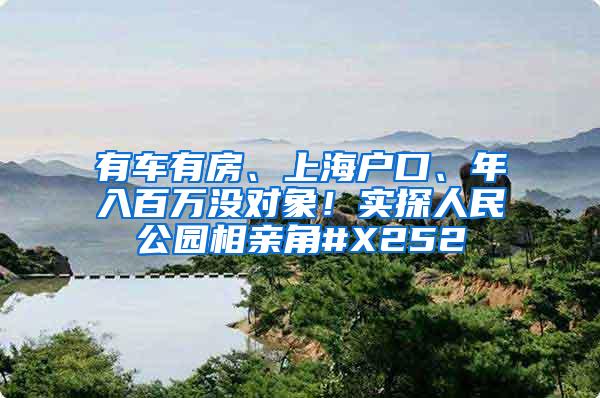 有车有房、上海户口、年入百万没对象！实探人民公园相亲角#X252