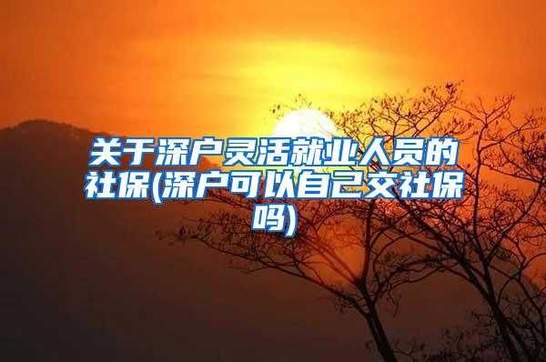 关于深户灵活就业人员的社保(深户可以自己交社保吗)