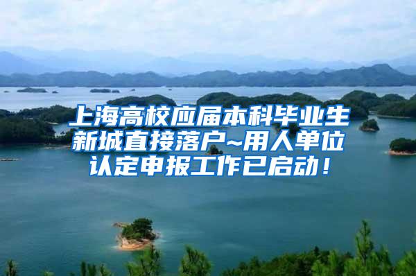 上海高校应届本科毕业生新城直接落户~用人单位认定申报工作已启动！