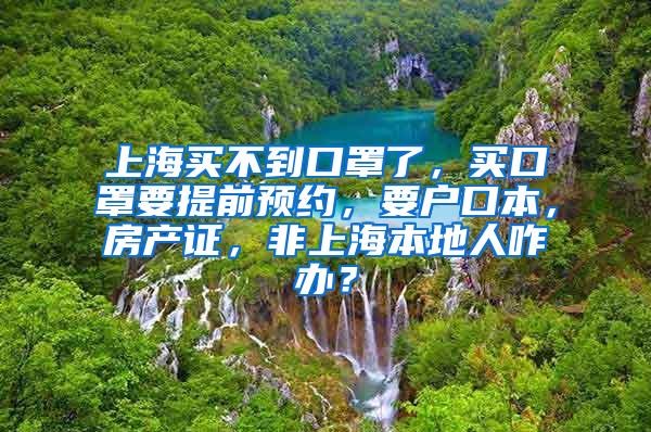 上海买不到口罩了，买口罩要提前预约，要户口本，房产证，非上海本地人咋办？