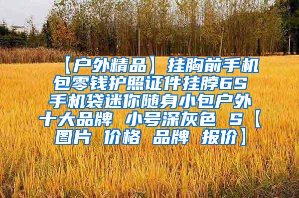 【户外精品】挂胸前手机包零钱护照证件挂脖6S手机袋迷你随身小包户外十大品牌 小号深灰色 S【图片 价格 品牌 报价】