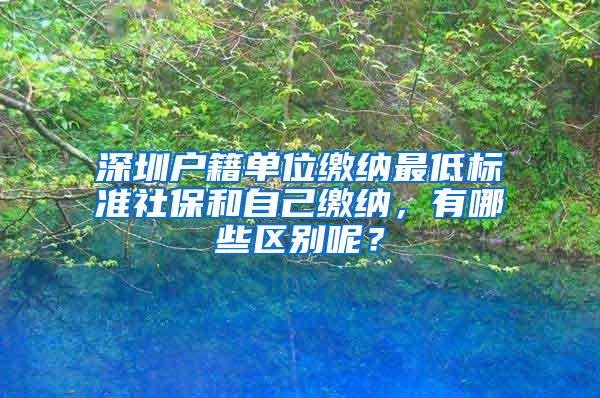 深圳户籍单位缴纳最低标准社保和自己缴纳，有哪些区别呢？