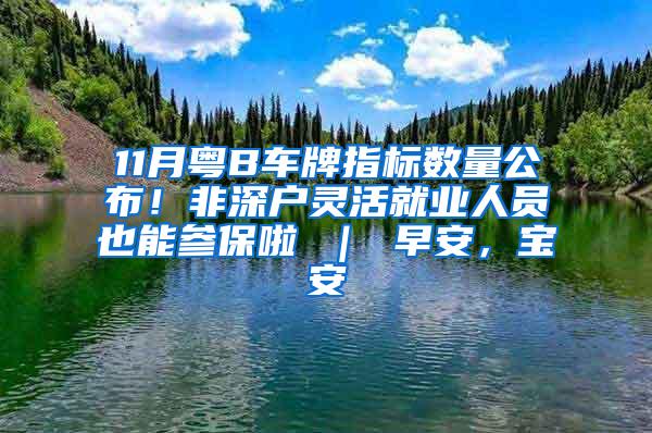 11月粤B车牌指标数量公布！非深户灵活就业人员也能参保啦 ｜ 早安，宝安