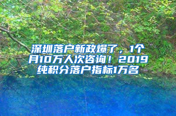 深圳落户新政爆了，1个月10万人次咨询！2019纯积分落户指标1万名