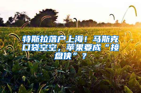 特斯拉落户上海！马斯克口袋空空，苹果要成“接盘侠”？