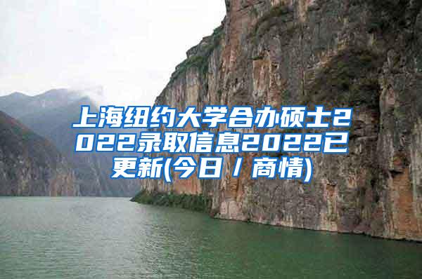 上海纽约大学合办硕士2022录取信息2022已更新(今日／商情)