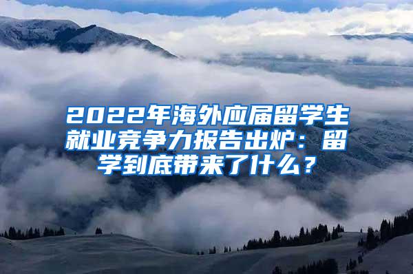 2022年海外应届留学生就业竞争力报告出炉：留学到底带来了什么？