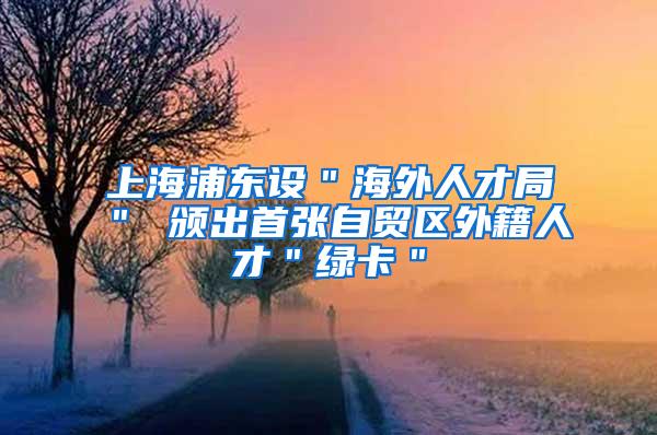 上海浦东设＂海外人才局＂ 颁出首张自贸区外籍人才＂绿卡＂