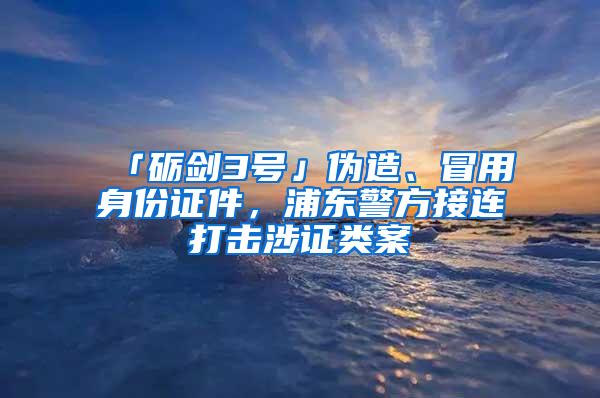 「砺剑3号」伪造、冒用身份证件，浦东警方接连打击涉证类案