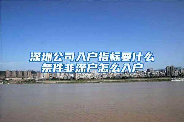 深圳公司入户指标要什么条件非深户怎么入户