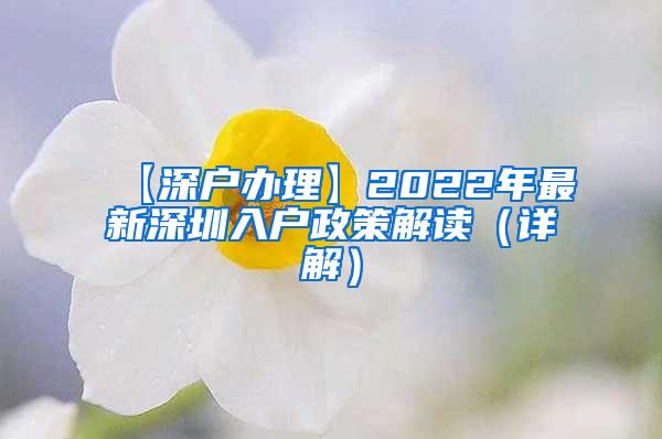 【深户办理】2022年最新深圳入户政策解读（详解）