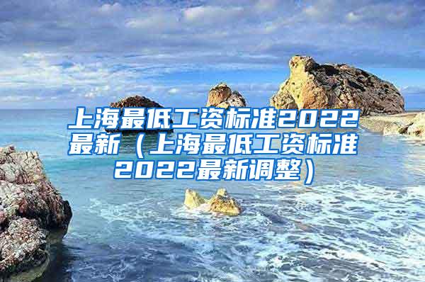 上海最低工资标准2022最新（上海最低工资标准2022最新调整）