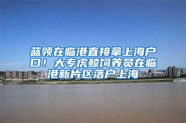 蓝领在临港直接拿上海户口！大专虎鲸饲养员在临港新片区落户上海