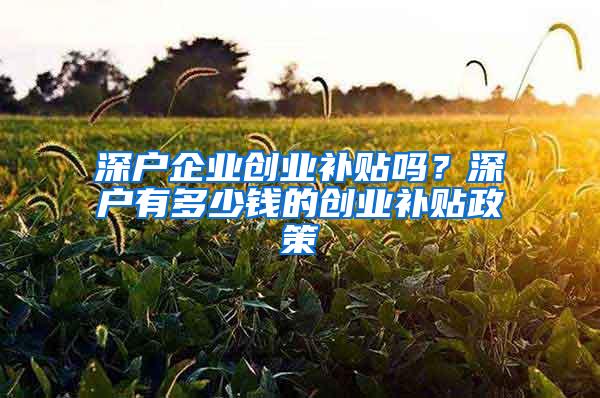 深户企业创业补贴吗？深户有多少钱的创业补贴政策