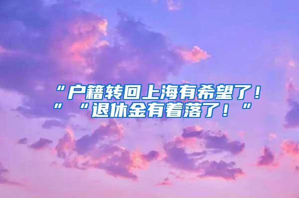 “户籍转回上海有希望了！”“退休金有着落了！”