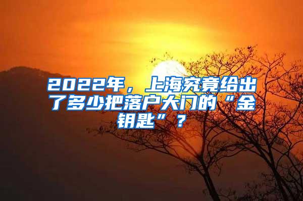 2022年，上海究竟给出了多少把落户大门的“金钥匙”？