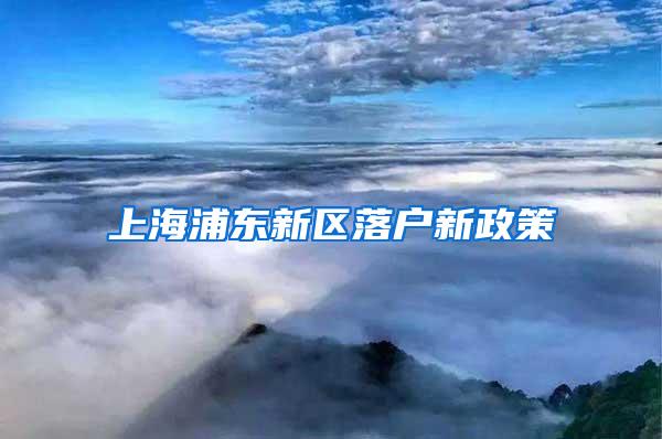 上海浦东新区落户新政策