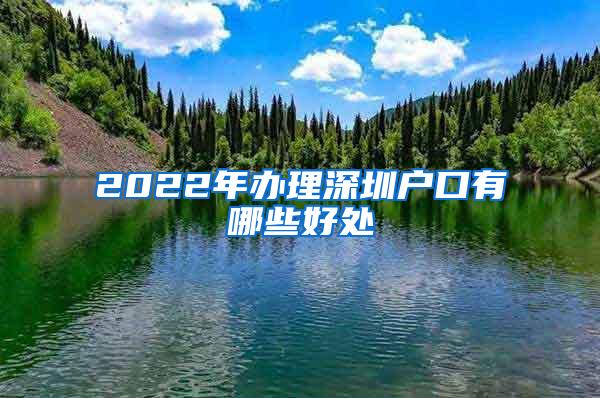 2022年办理深圳户口有哪些好处