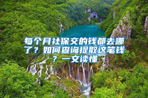 每个月社保交的钱都去哪了？如何查询提取这笔钱？一文读懂