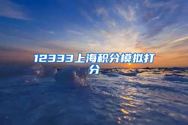 12333上海积分模拟打分