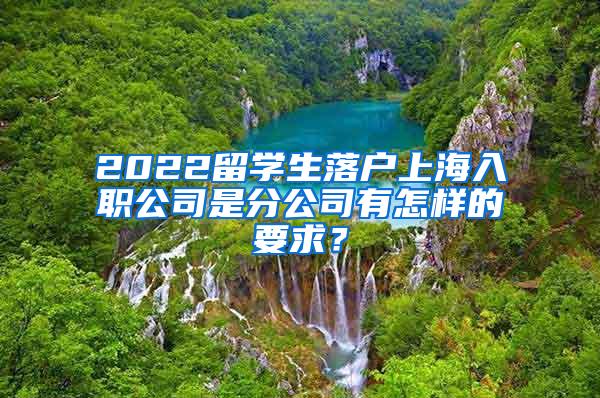 2022留学生落户上海入职公司是分公司有怎样的要求？