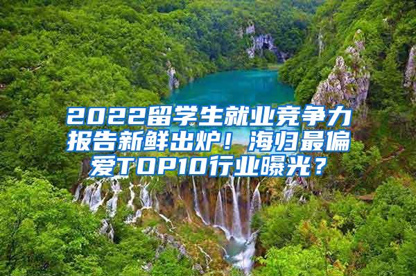 2022留学生就业竞争力报告新鲜出炉！海归最偏爱TOP10行业曝光？