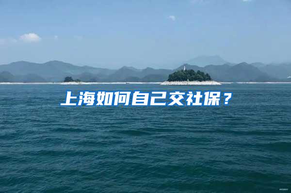 上海如何自己交社保？