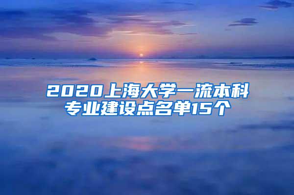 2020上海大学一流本科专业建设点名单15个