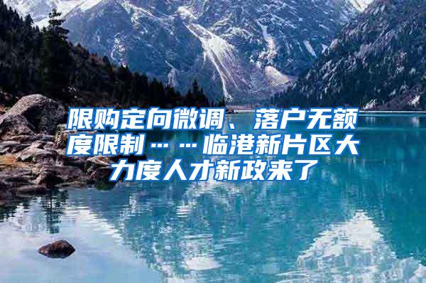 限购定向微调、落户无额度限制……临港新片区大力度人才新政来了