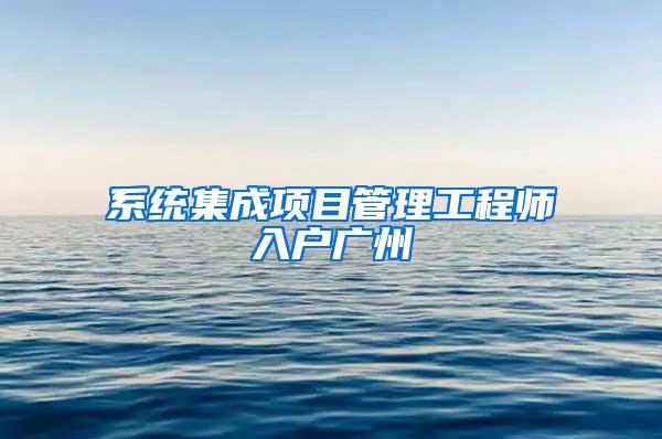 系统集成项目管理工程师入户广州