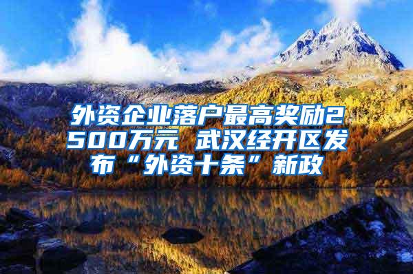 外资企业落户最高奖励2500万元 武汉经开区发布“外资十条”新政