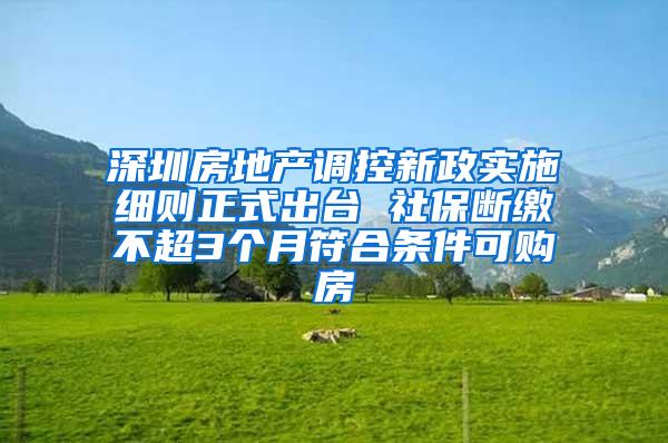 深圳房地产调控新政实施细则正式出台 社保断缴不超3个月符合条件可购房