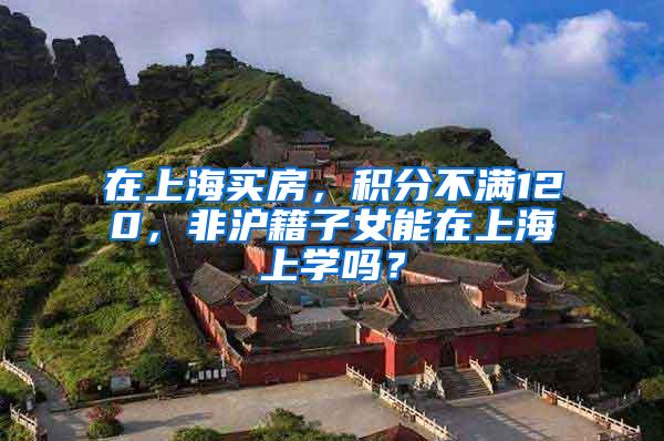在上海买房，积分不满120，非沪籍子女能在上海上学吗？