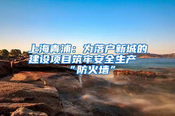上海青浦：为落户新城的建设项目筑牢安全生产“防火墙”