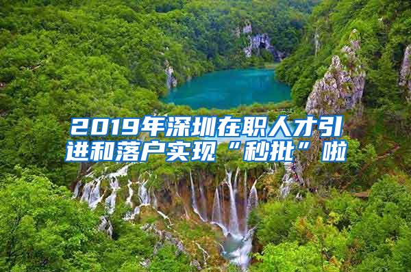 2019年深圳在职人才引进和落户实现“秒批”啦