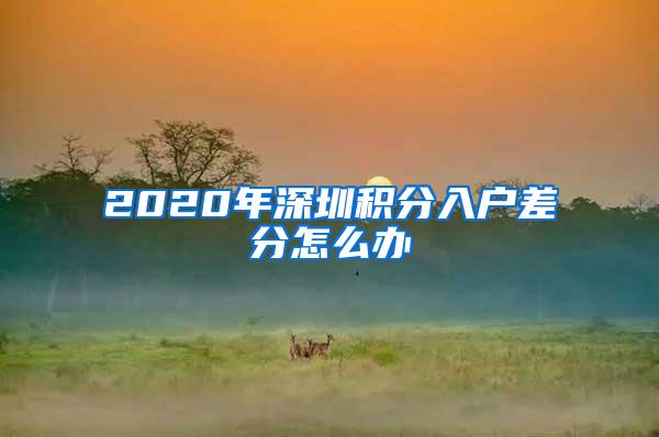 2020年深圳积分入户差分怎么办