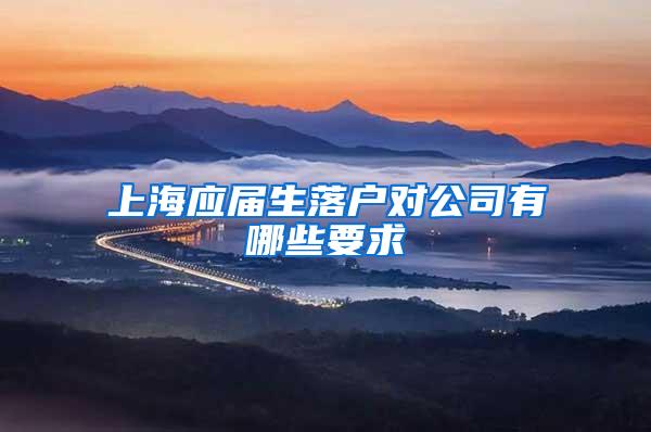 上海应届生落户对公司有哪些要求